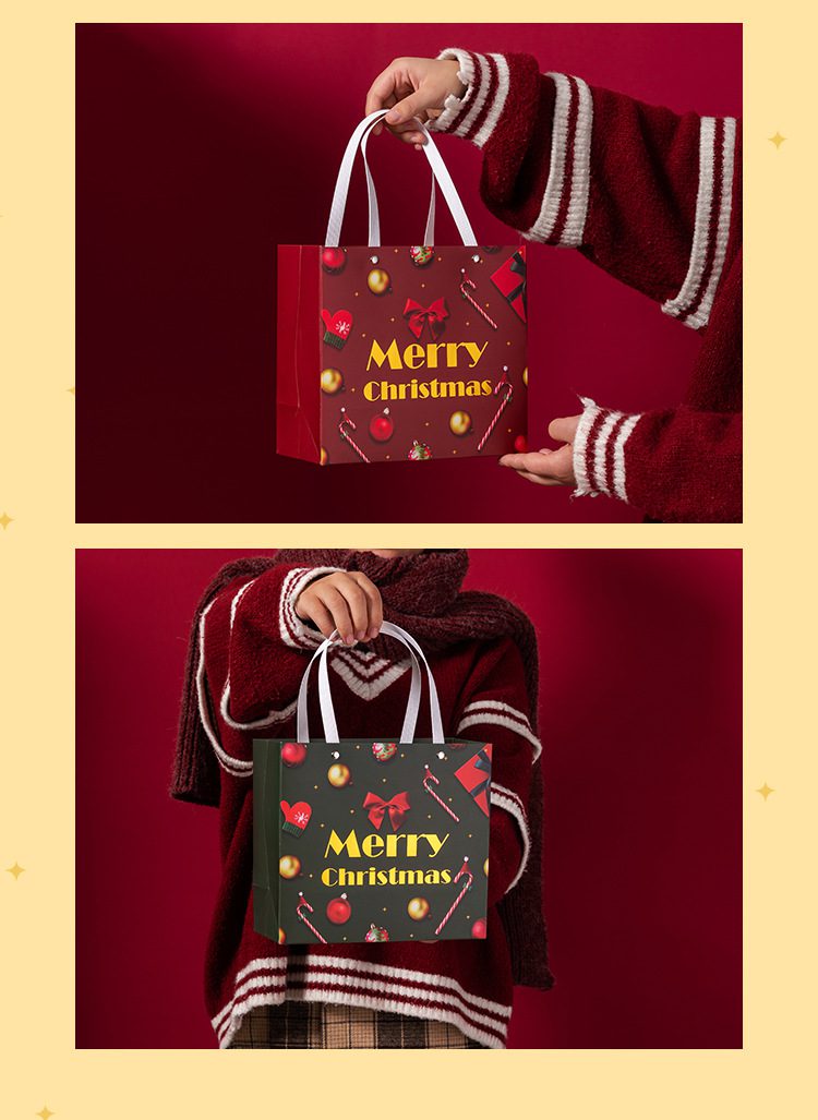 Gift bags for Christmas