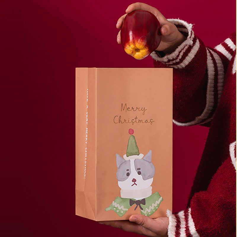 Festive Christmas Gift Bag – Holiday Packaging for Treats & Gifts Christmas gift bag