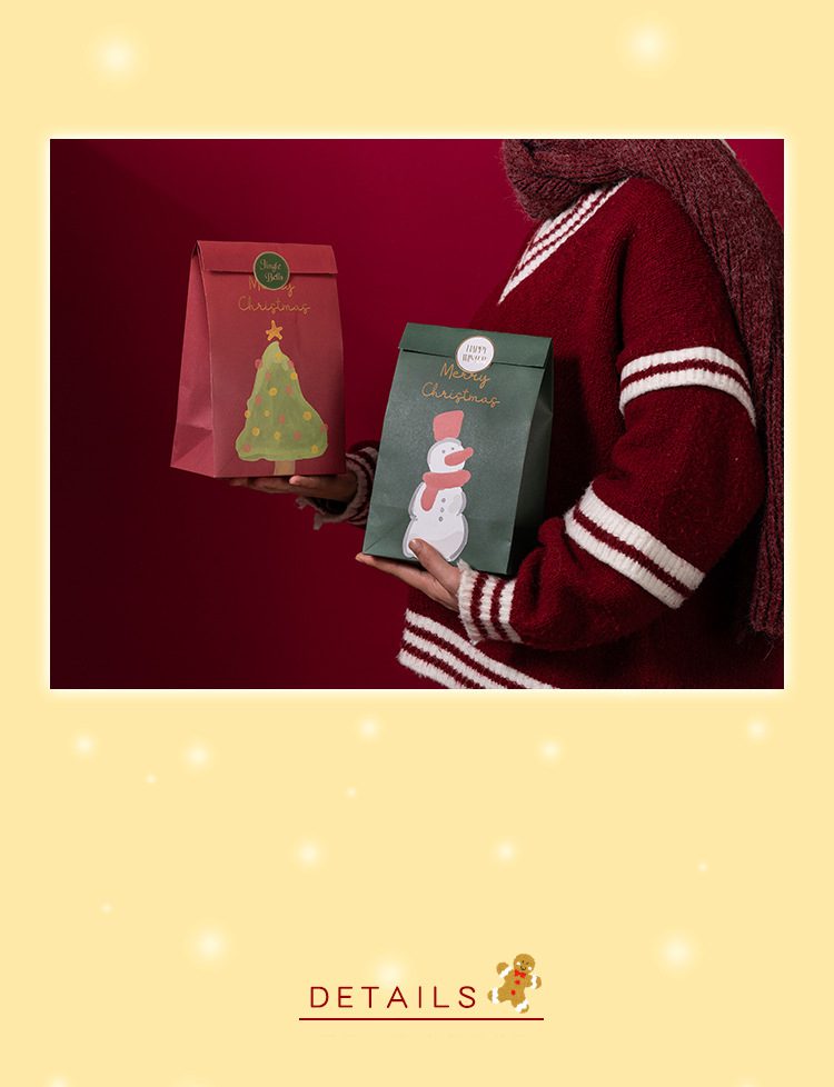 Festive Christmas Gift Bag – Holiday Packaging for Treats & Gifts Christmas gift bag