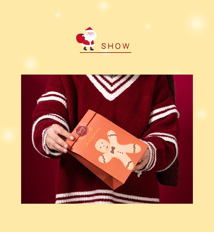 Festive Christmas Gift Bag – Holiday Packaging for Treats & Gifts Christmas gift bag